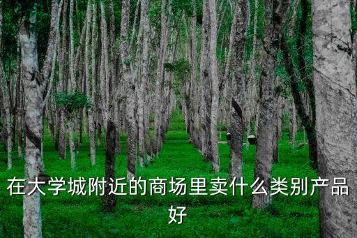 在大學(xué)城附近的商場里賣什么類別產(chǎn)品好