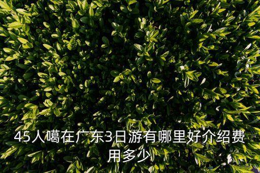 45人噶在廣東3日游有哪里好介紹費用多少