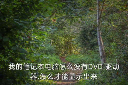 dvd驅動,dvd驅動器不見了怎么辦?