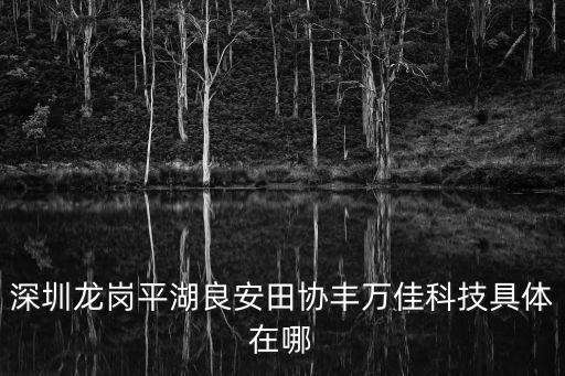 深圳龍崗平湖良安田協豐萬佳科技具體在哪