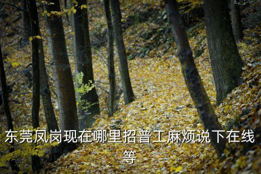 東莞鳳崗雁田哪里招搬運工，東莞鳳崗現在哪里招普工麻煩說下在線等