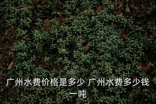 廣州水費價格是多少 廣州水費多少錢一噸