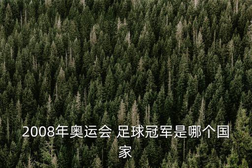 2008年奧運(yùn)會(huì) 足球冠軍是哪個(gè)國(guó)家