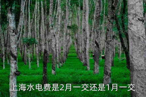 上海市居民水費賬單每月幾號付，上海水費單每月幾號出來
