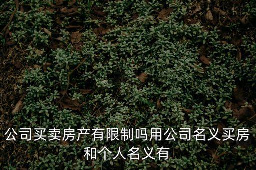 公司買賣房產有限制嗎用公司名義買房和個人名義有