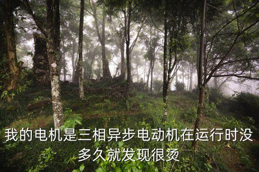 我的電機是三相異步電動機在運行時沒多久就發現很燙
