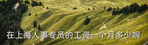 上海市人才服務(wù)中心工資待遇，上海人事專員的工資一般是多少呢