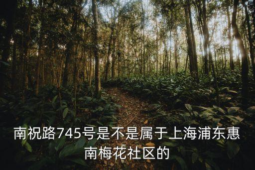 上海市梅花村居委會，梅花村居委會有那幾個普查小區