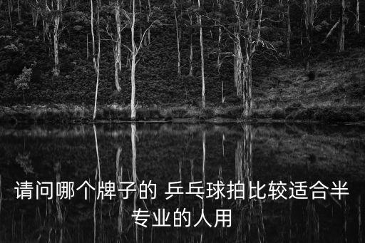 請問哪個牌子的 乒乓球拍比較適合半專業的人用