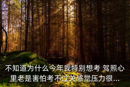 不知道為什么今年我特別想考 駕照心里老是害怕考不過關感覺壓力很...