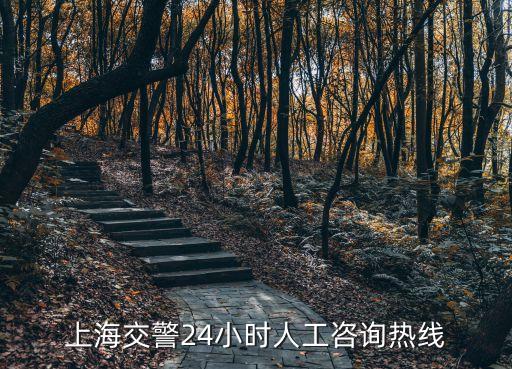上海交警24小時人工咨詢熱線