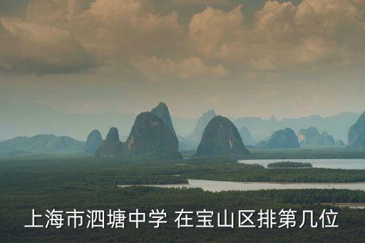 上海市泗塘中學 在寶山區排第幾位