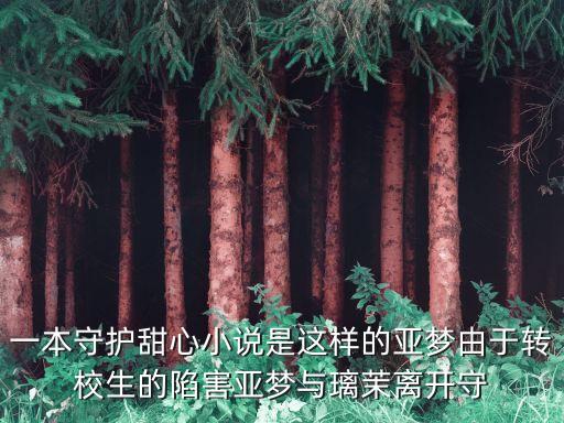 一本守護甜心小說是這樣的亞夢由于轉校生的陷害亞夢與璃茉離開守