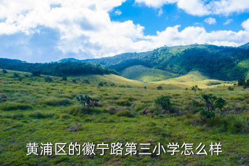 上海市徽寧路第三小學 招生，黃浦區(qū)的徽寧路第三小學怎么樣