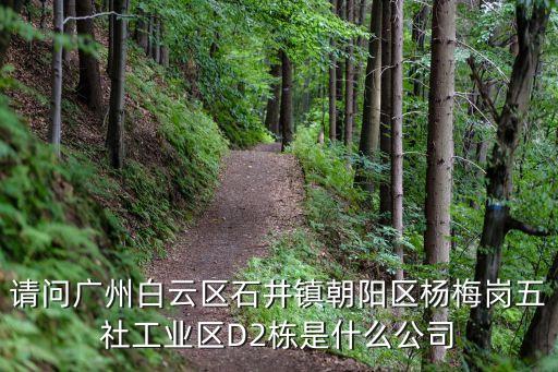 請問廣州白云區石井鎮朝陽區楊梅崗五社工業區D2棟是什么公司