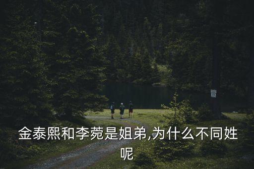 金泰熙弟弟