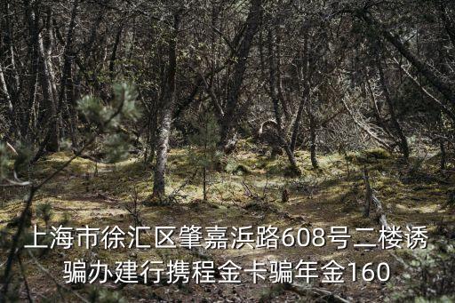 上海市徐匯區卓信商務大廈 詐騙，上海應聘營業員被騙
