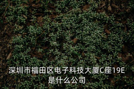 深圳市福田區電子科技大廈C座19E是什么公司