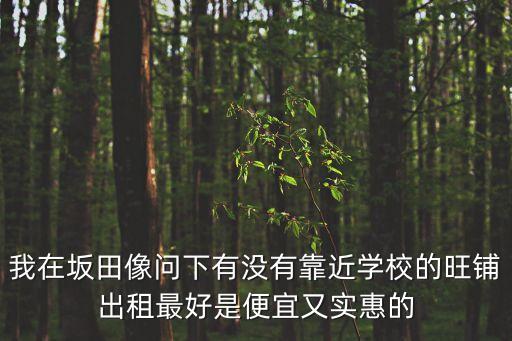 我在坂田像問下有沒有靠近學校的旺鋪出租最好是便宜又實惠的