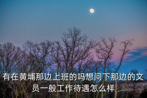 有在黃埔那邊上班的嗎想問下那邊的文員一般工作待遇怎么樣