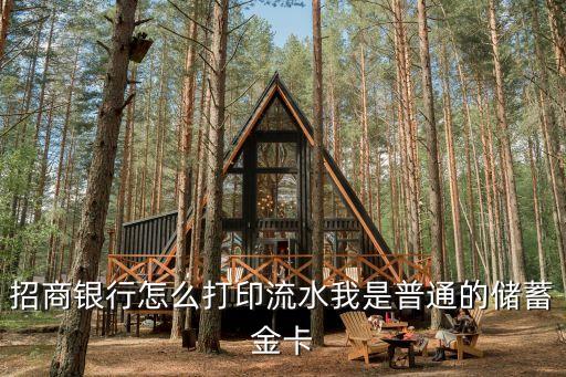 招商銀行怎么打印流水我是普通的儲蓄金卡