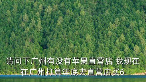 請問下廣州有沒有蘋果直營店 我現在在廣州打算年底去直營店買6