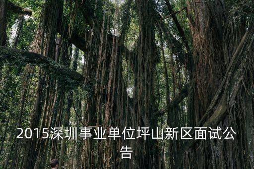 深圳坪山區選調，深圳聘任制公務員能否參加選調