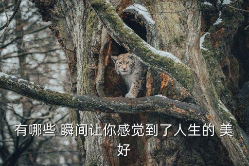 有哪些 瞬間讓你感覺(jué)到了人生的 美好