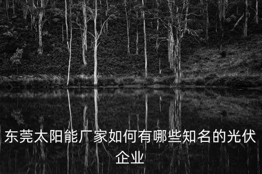 東莞太陽能板廠家哪個好，東莞太陽能廠家如何有哪些知名的光伏企業