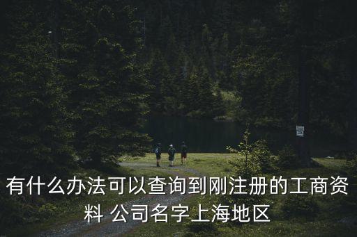 有什么辦法可以查詢到剛注冊的工商資料 公司名字上海地區