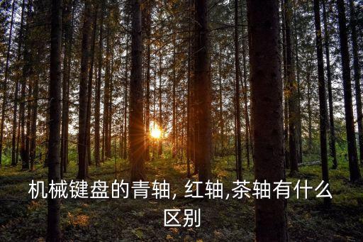 機械鍵盤的青軸, 紅軸,茶軸有什么區別