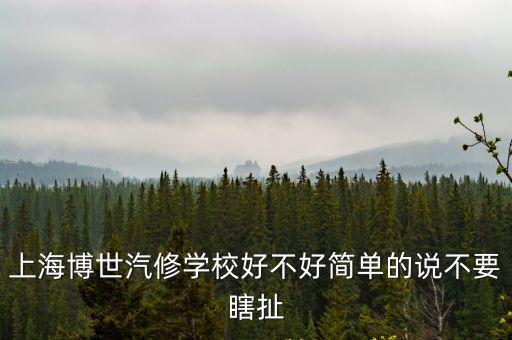 上海博世汽修學校好不好簡單的說不要瞎扯