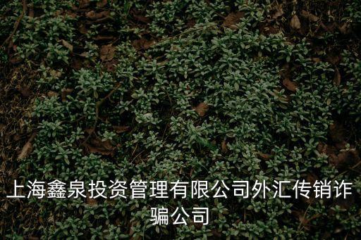上海市漢邦金融集團(tuán)，上海鑫泉投資管理有限公司外匯傳銷詐騙公司