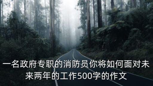 一名政府專職的消防員你將如何面對未來兩年的工作500字的作文