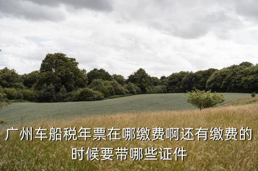 廣州車船稅年票在哪繳費啊還有繳費的時候要帶哪些證件
