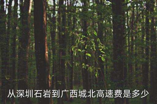 從深圳石巖到廣西城北高速費是多少