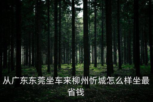 廣州到忻城客車線程，從廣東東莞坐車來柳州忻城怎么樣坐最省錢