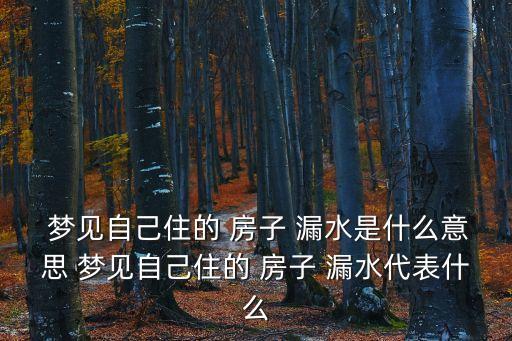  夢見自己住的 房子 漏水是什么意思 夢見自己住的 房子 漏水代表什么