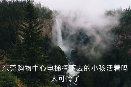 東莞購物中心電梯摔下去的小孩活著嗎太可憐了