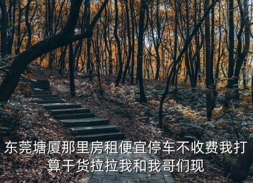 東莞塘廈那里房租便宜停車不收費我打算干貨拉拉我和我哥們現