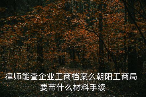 律師能查企業工商檔案么朝陽工商局 要帶什么材料手續