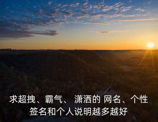 求超拽、霸氣、 瀟灑的 網(wǎng)名、個(gè)性簽名和個(gè)人說(shuō)明越多越好