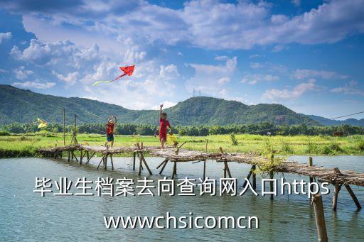 畢業生檔案去向查詢網入口httpswwwchsicomcn