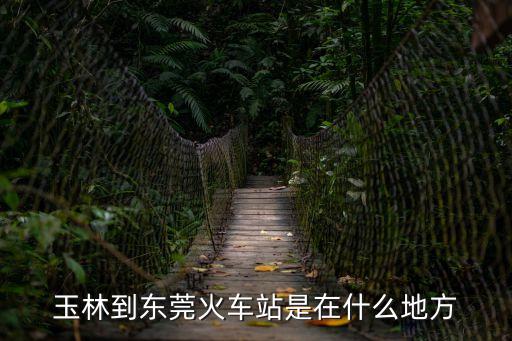 玉林西站到東莞東火車站，玉林到東莞火車站是在什么地方