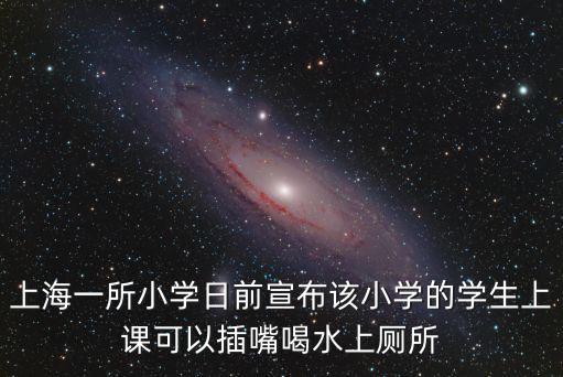 上海市閔行銀新小學，上海市閔行區 小學那所比較好
