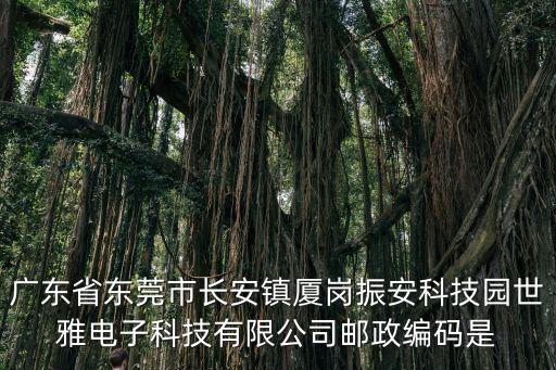 東莞安世半導體在哪里，東莞安盾在哪