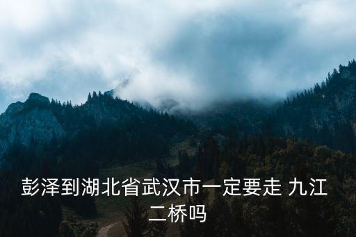 彭澤到湖北省武漢市一定要走 九江 二橋嗎