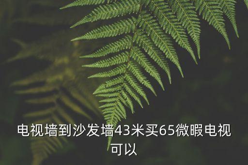 電視墻到沙發墻43米買65微暇電視可以