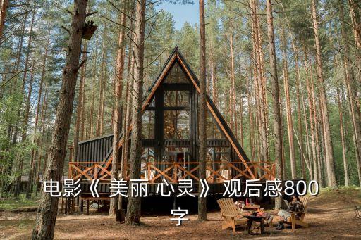 電影《 美麗 心靈》 觀后感800字