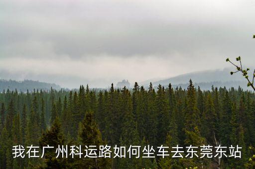 我在廣州科運路如何坐車去東莞東站
